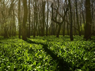 訪農(nóng)戶，送技術(shù)！ “中國農(nóng)資”現(xiàn)代農(nóng)業(yè)服務(wù)團(tuán)隊助力秋糧生產(chǎn)