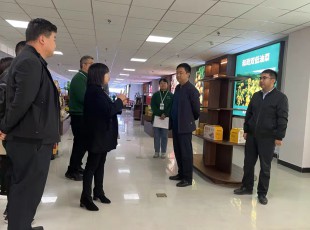 州農(nóng)投集團在水發(fā)農(nóng)投通道物流公司、河州力量公司調(diào)研